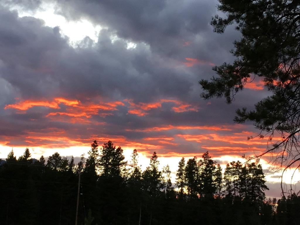 Rose Cottage Bed & Breakfast Valemount Bagian luar foto