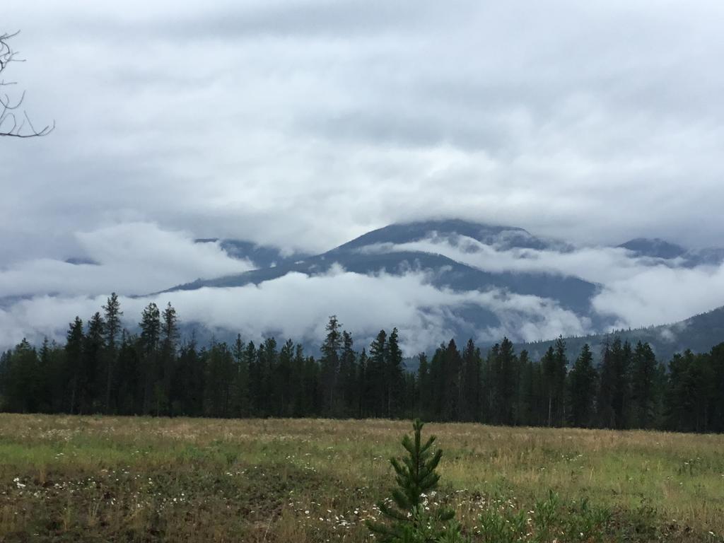 Rose Cottage Bed & Breakfast Valemount Bagian luar foto