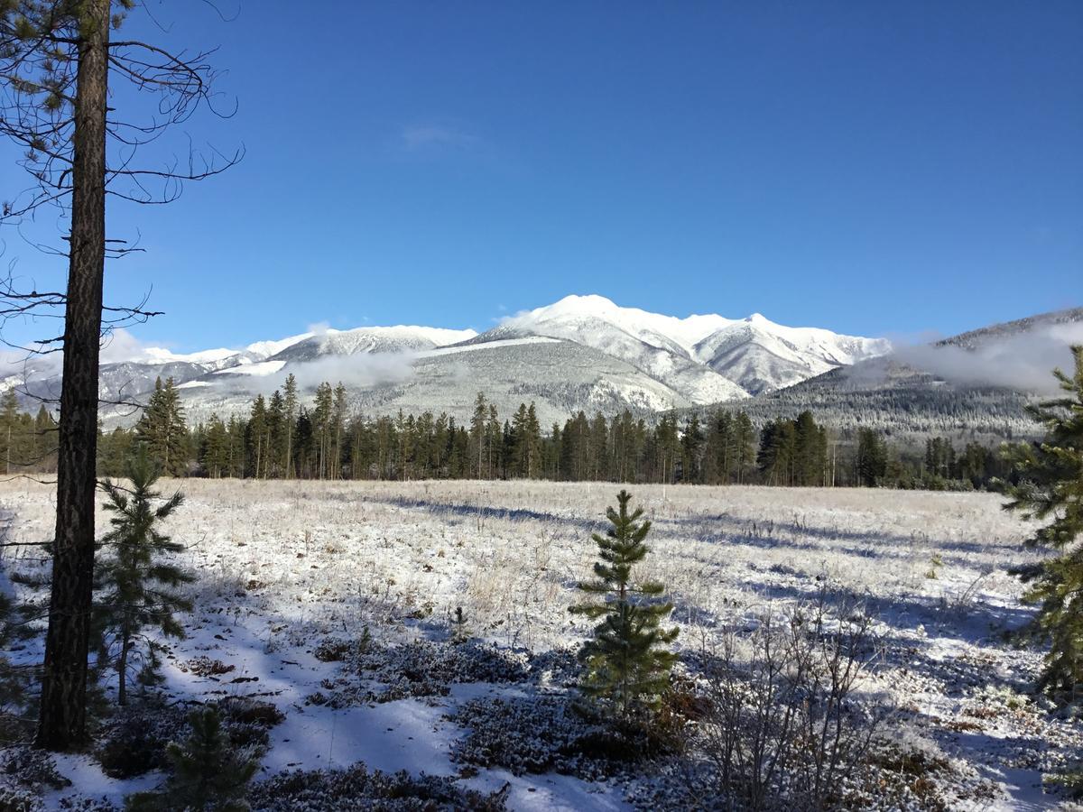 Rose Cottage Bed & Breakfast Valemount Bagian luar foto