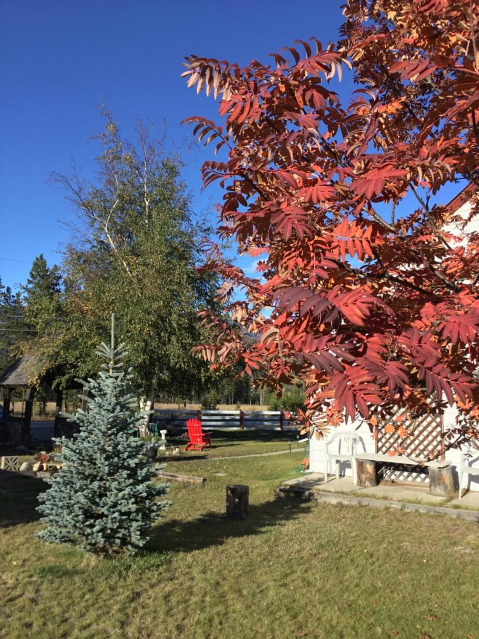 Rose Cottage Bed & Breakfast Valemount Bagian luar foto