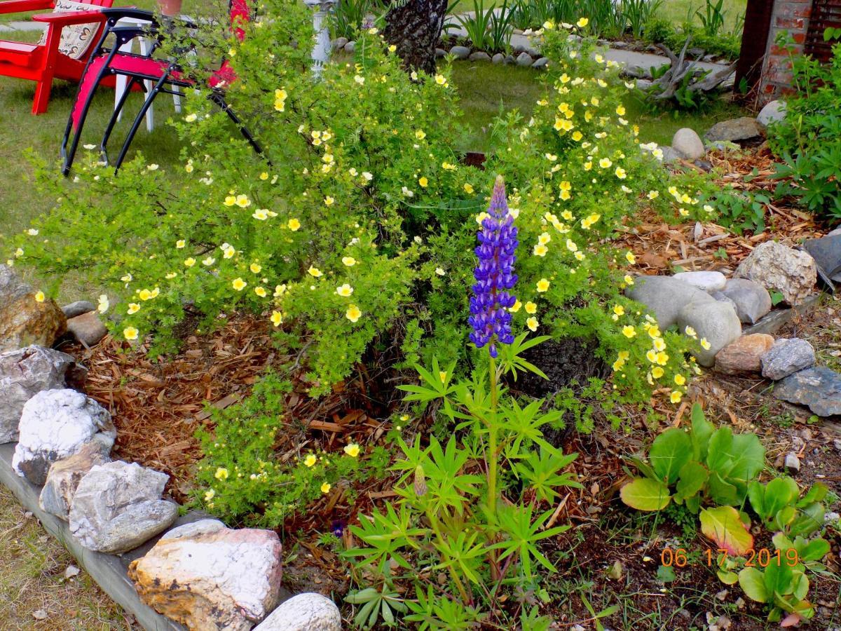 Rose Cottage Bed & Breakfast Valemount Bagian luar foto